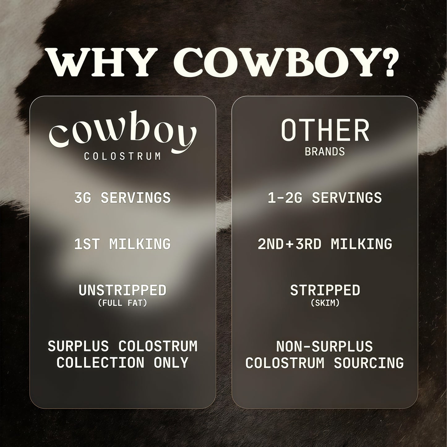 Cowboy Colostrum Powder Supplement for Gut Health Vanilla 40 Servings